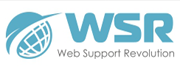 Web Support Revolution